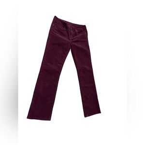 Patagonia Pants Sz 28 Short Maroon Corduroy Organic Cotton Work Travel Cabin